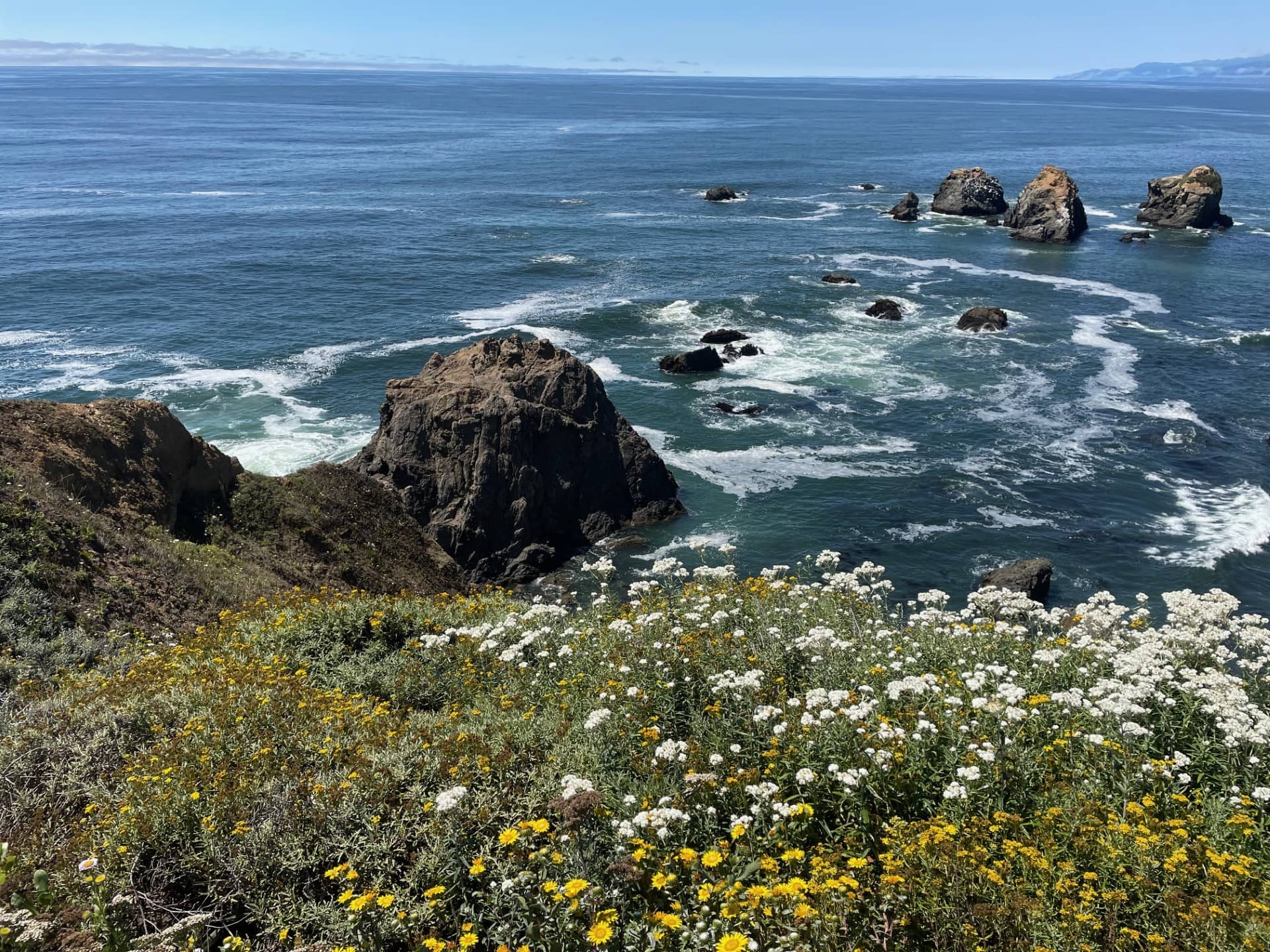 California’s Lost Coast Redwoods Property