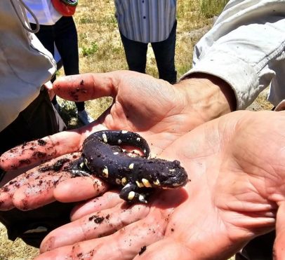 Getting our hands dirty with BLM scientists and volunteers. Education is key to understanding the multiple uses and needs of public lands and waters.